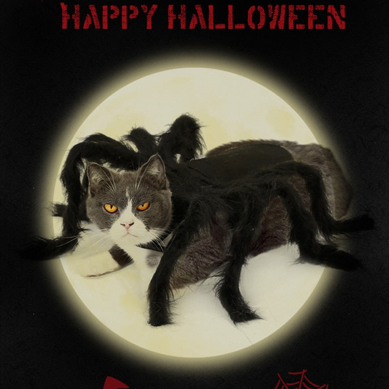 Halloween Cosplay Spider Costume for Pet