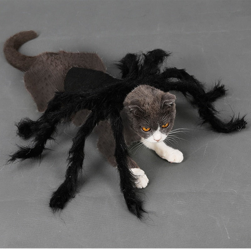 Halloween Cosplay Spider Costume for Pet