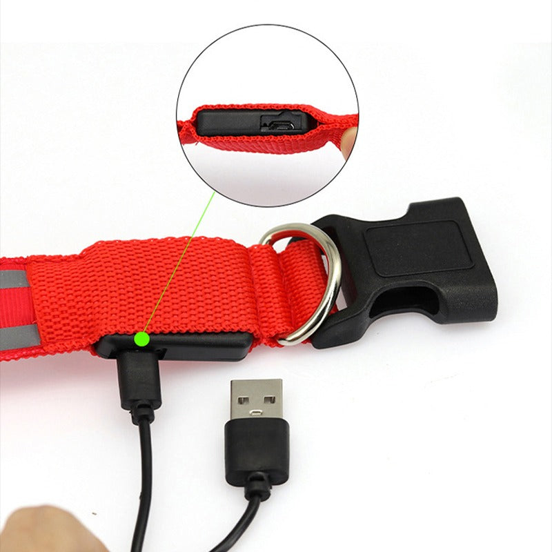 usb charging led collar