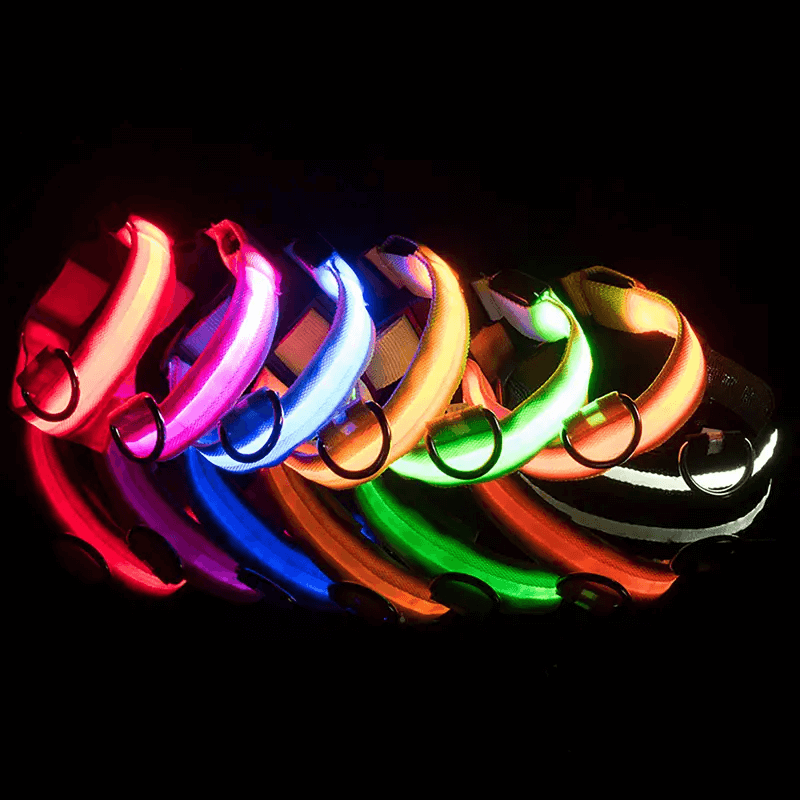 usb rechargeable led dog collar