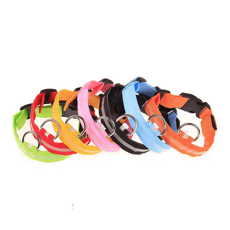 usb rechargeable led dog collar
