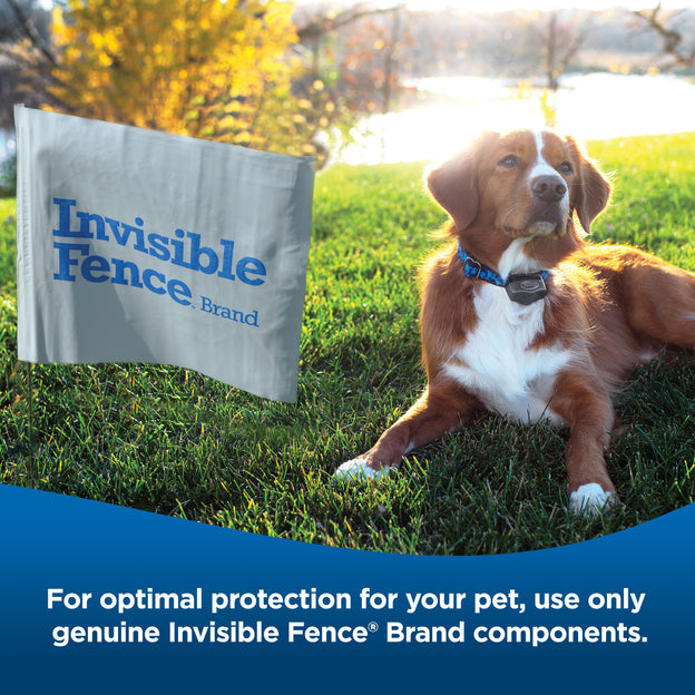 Batteries - Invisible Fence Brand - Pet Fence Canada