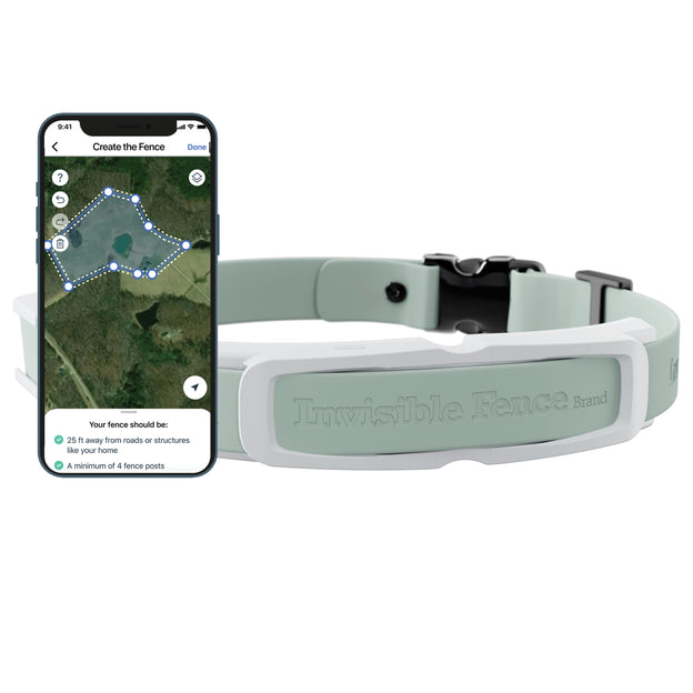 Pre-order: Invisible Fence GPS Collar