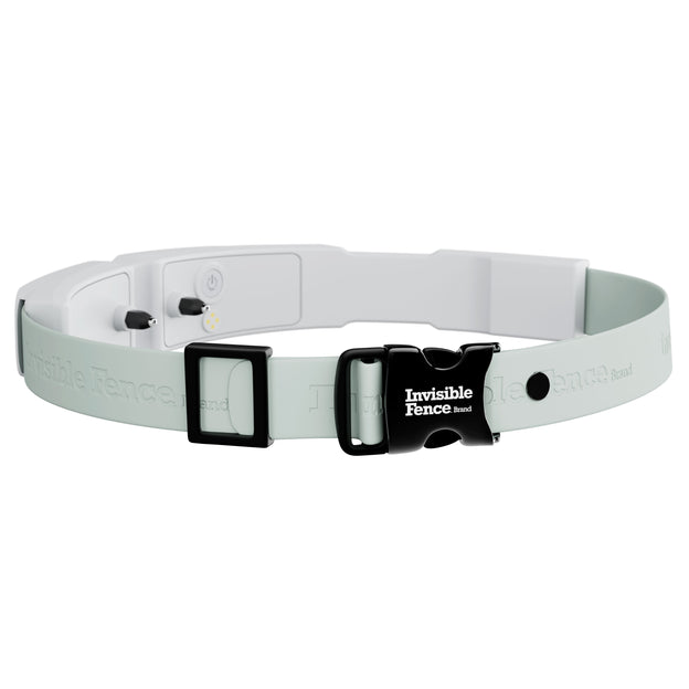 Pre-order: Invisible Fence GPS Collar