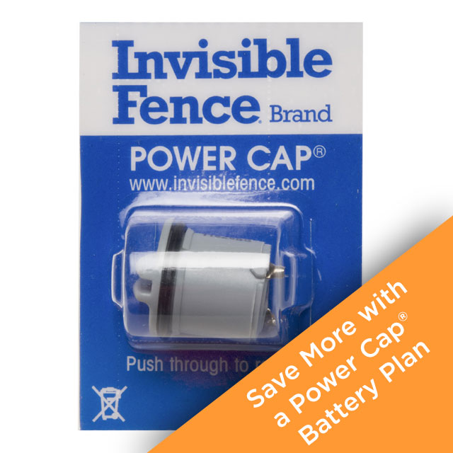 Batteries  Invisible Fence Brand
