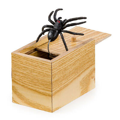 Spider box prank