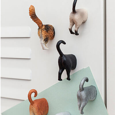 Cat Butt Magnets