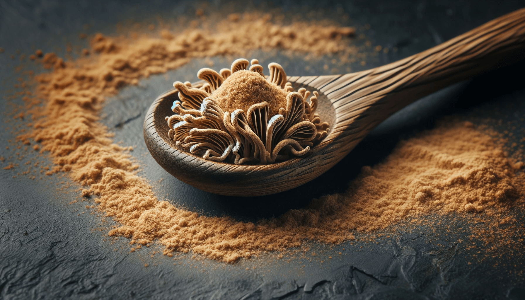 A small rustic wooden spoon filled with Lion's Mane Mushroom Extract powder placed on a dark textured surface. The spoon is hand-carved, adding a natural touch.