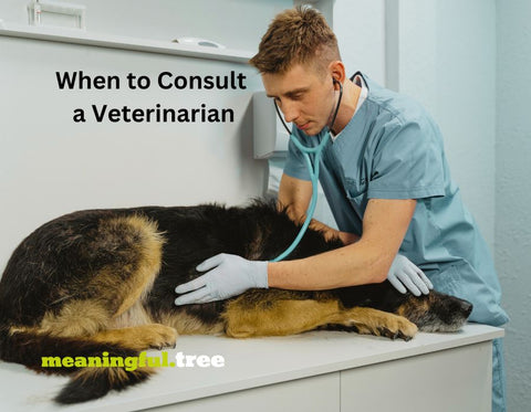 When to Consult a Veterinarian