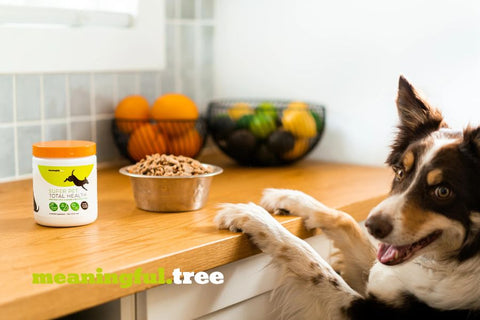 Try Super Pet Total Health for Free