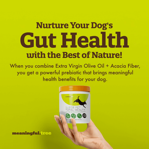 Nurture Your Dog's Gut Health with the Best of Nature