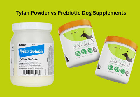 Tylan Powder vs Prebiotic Dog Supplements