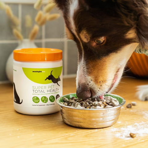 Prebiotic supplement for dogs