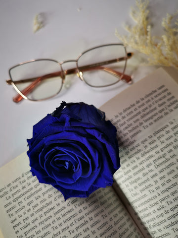 Blue Eternal Rose Aluna Gifts