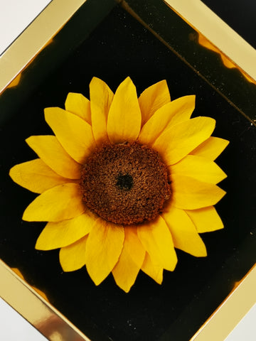 Eternal Real Sunflower