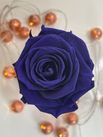 Purple Eternal Rose Aluna Gifts