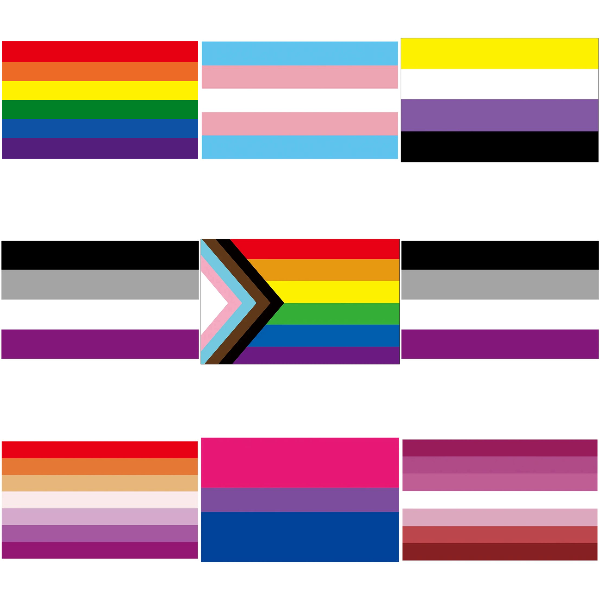 Pride Flags - Flags To Hang or Carry in LGBTQA+ Pride Events| Queer ...