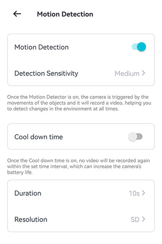 Motion Detection