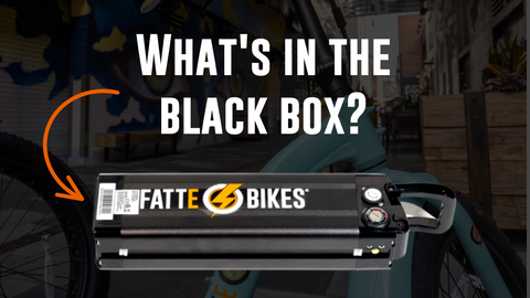 What is in an electric bike battery?