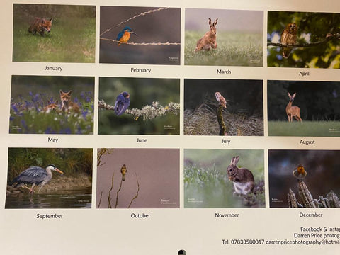 New Forest Wildlife Calendar Back