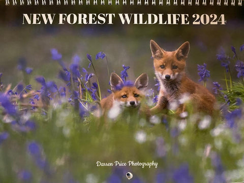 New Forest Calendar Front