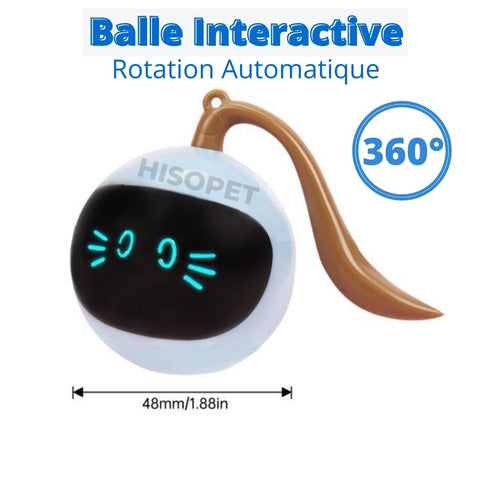 balle chat 360