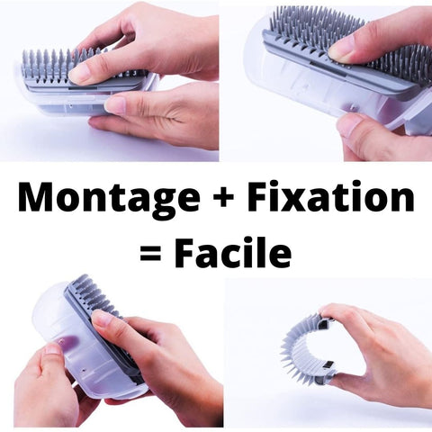 fixation brosse chat murale