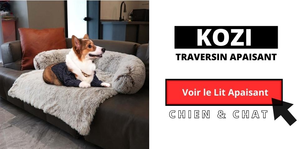 acheter lit apaisant pour chien