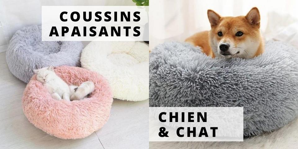 chat dans coussin rose et chien dans coussin gris