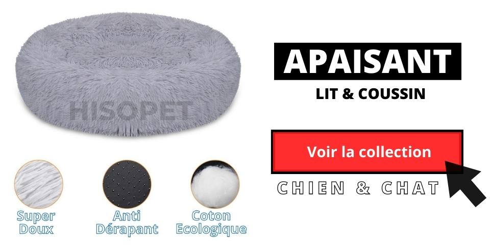 collection de lit et coussin chien et chat