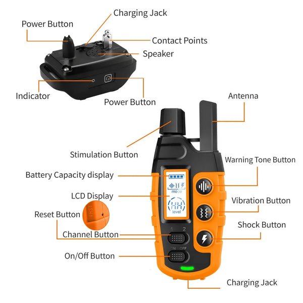 collier dressage chien options