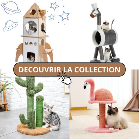 collection arbres a chat