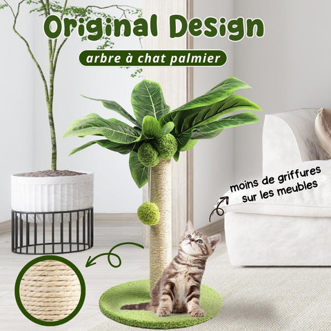 arbre a chat palmier
