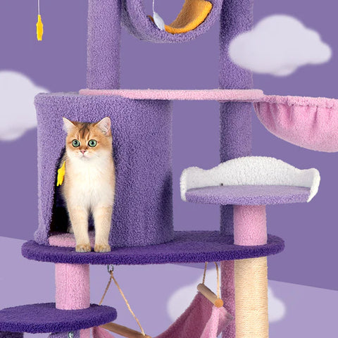 jouet escalade pour chat violet