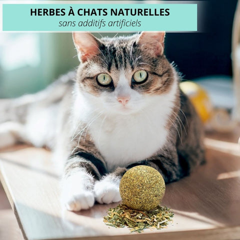 Boule d'herbe à chat en forme d'herbe à chat, jouet naturel à