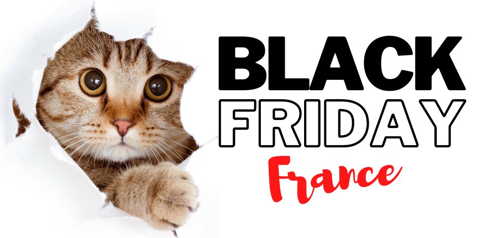 black friday accessoires chat