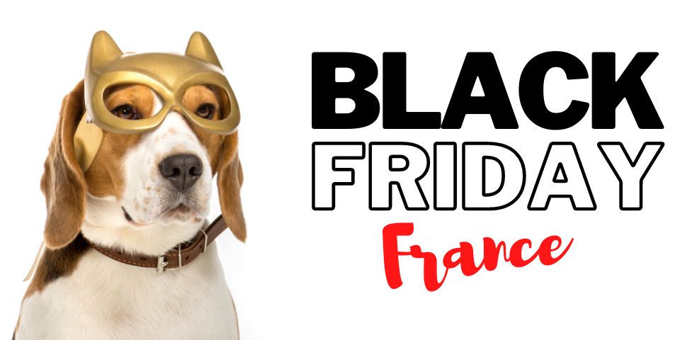 black friday chien