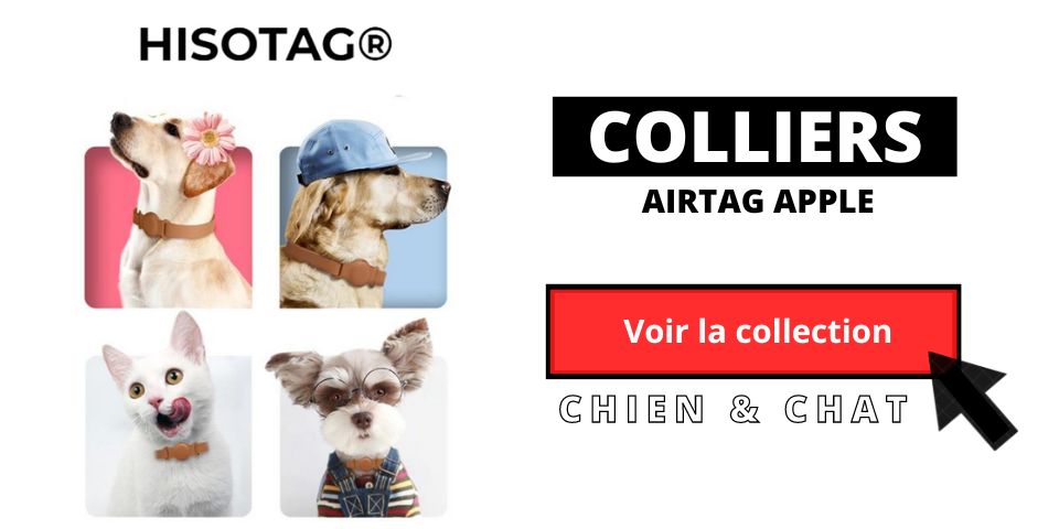 collier airtag chat chien