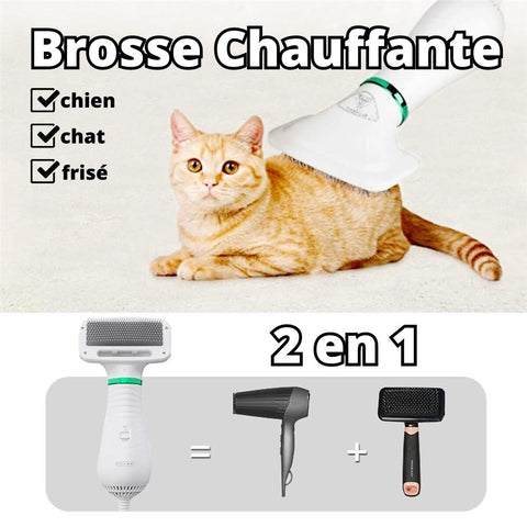 brosse chauffante électrique 2 en 1