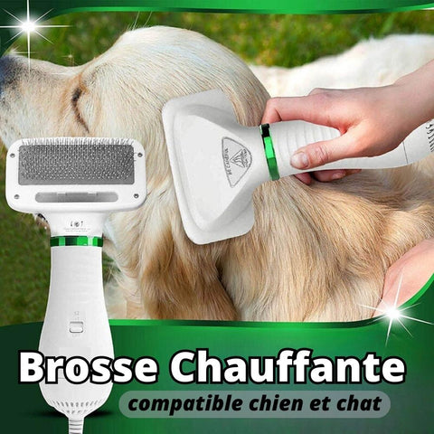brosse chauffante électrique chien