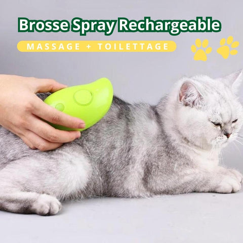 brosse poils spray rechargeable