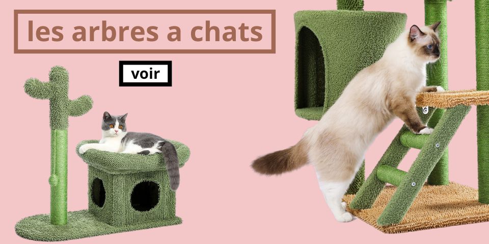 chat munchkin arbre chat
