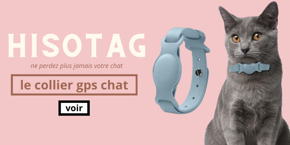 chat munchkin collier gps