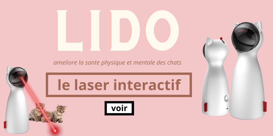 acheter laser interactif chat