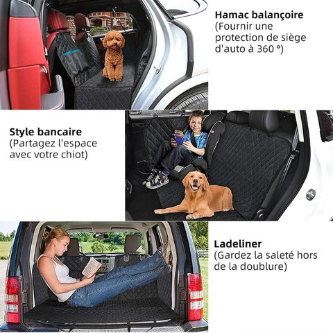 voiture protection chien