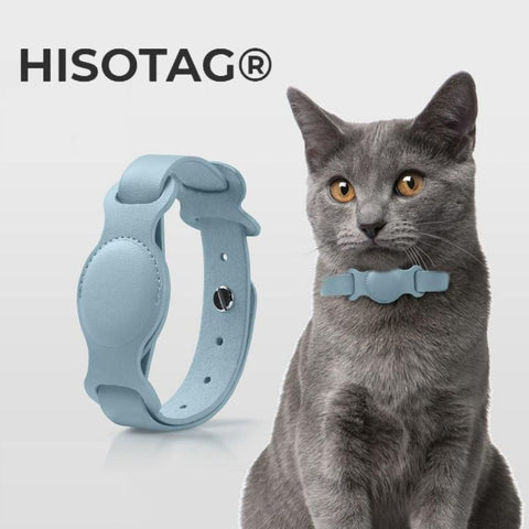 Collier Premium Hisotag® pour Chat