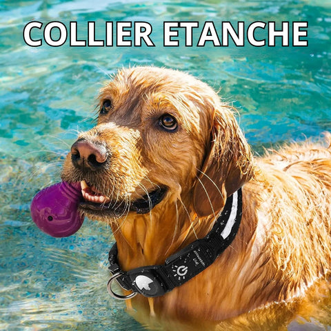 collier chien gps etanche