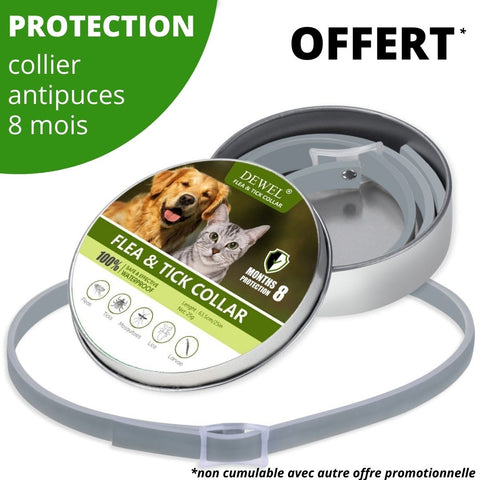flea collar for dogs and cats