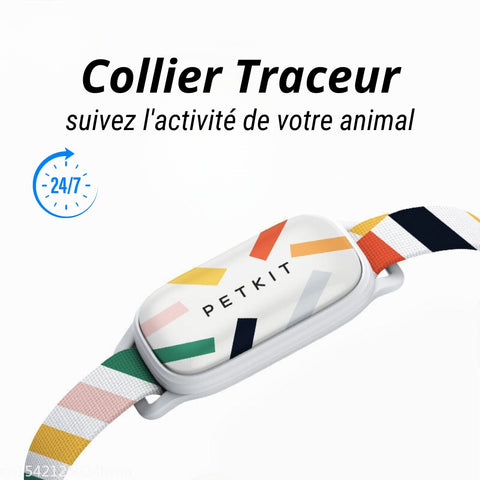 Collier GPS pour Chat - Quel est le meilleur traceur ? – HisoPet™