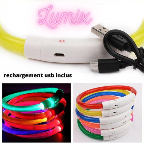 collier lumineux usb pour chien